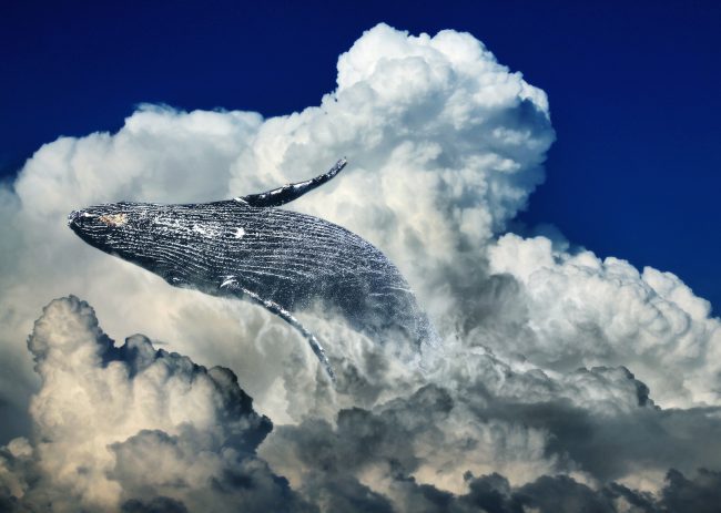 Whale Leaping through Clouds Shoulder to Shoulder with Giants